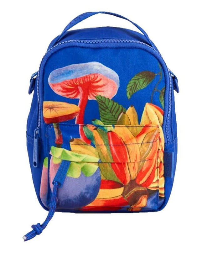 MOCHILA FARM BOROGODO ARCO IRIS DA TERRA