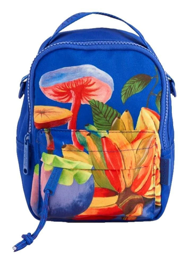 MOCHILA FARM BOROGODO ARCO IRIS DA TERRA