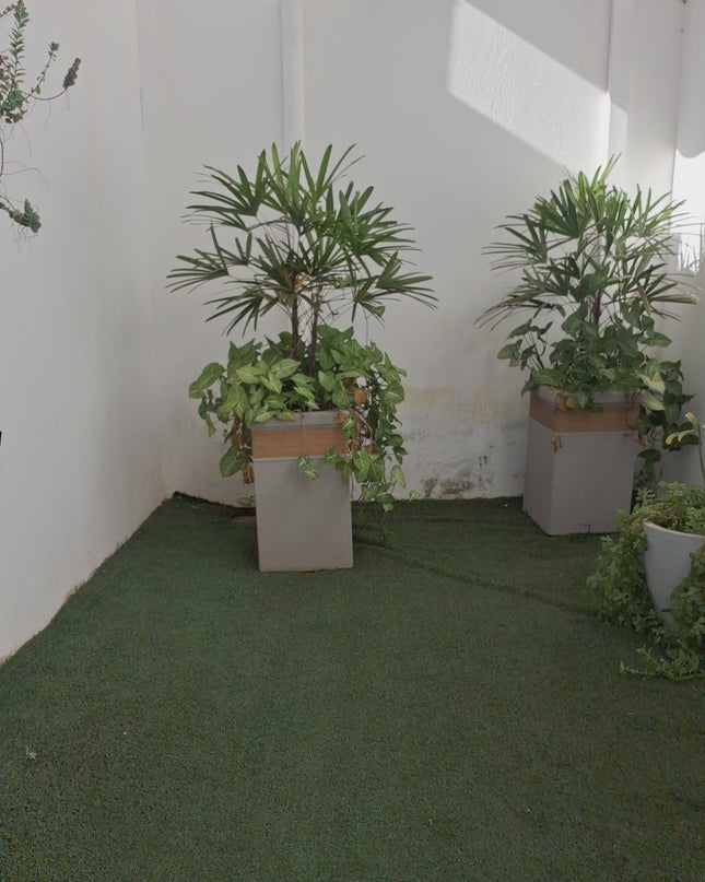 VESTIDO FARM MIDI ESTAMPADO PANTERA BOHO