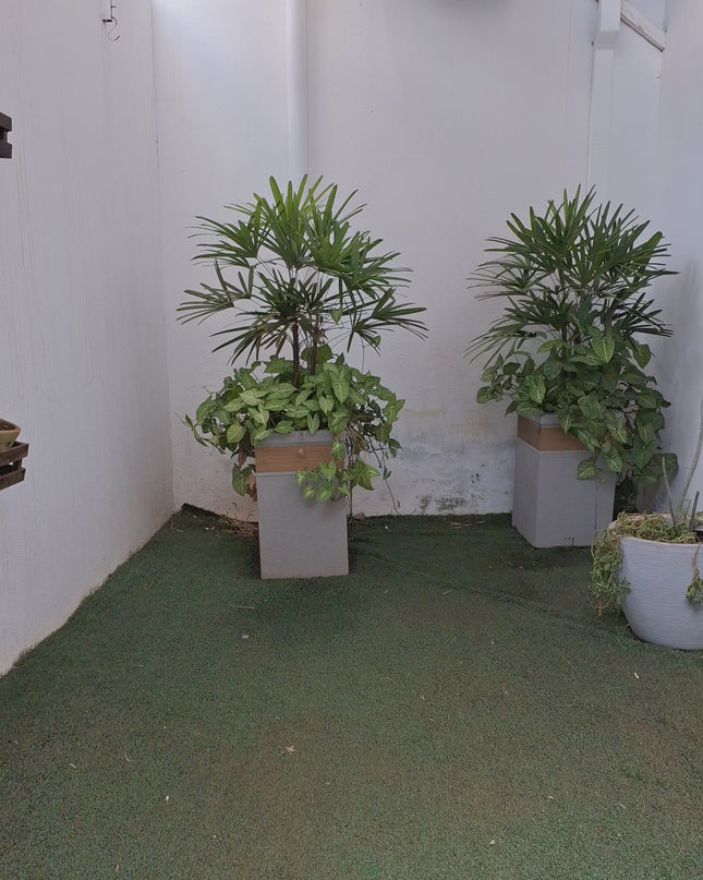 VESTIDO FARM TULE JARDIM LITORAL